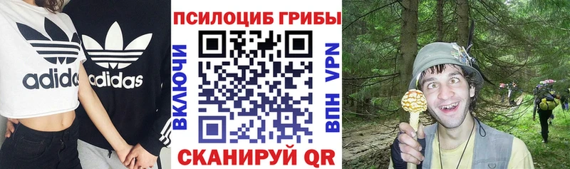 как найти закладки  МЕГА как войти  Псилоцибиновые грибы мухоморы  Хасавюрт 