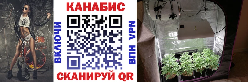Каннабис Bruce Banner где купить наркоту Хасавюрт